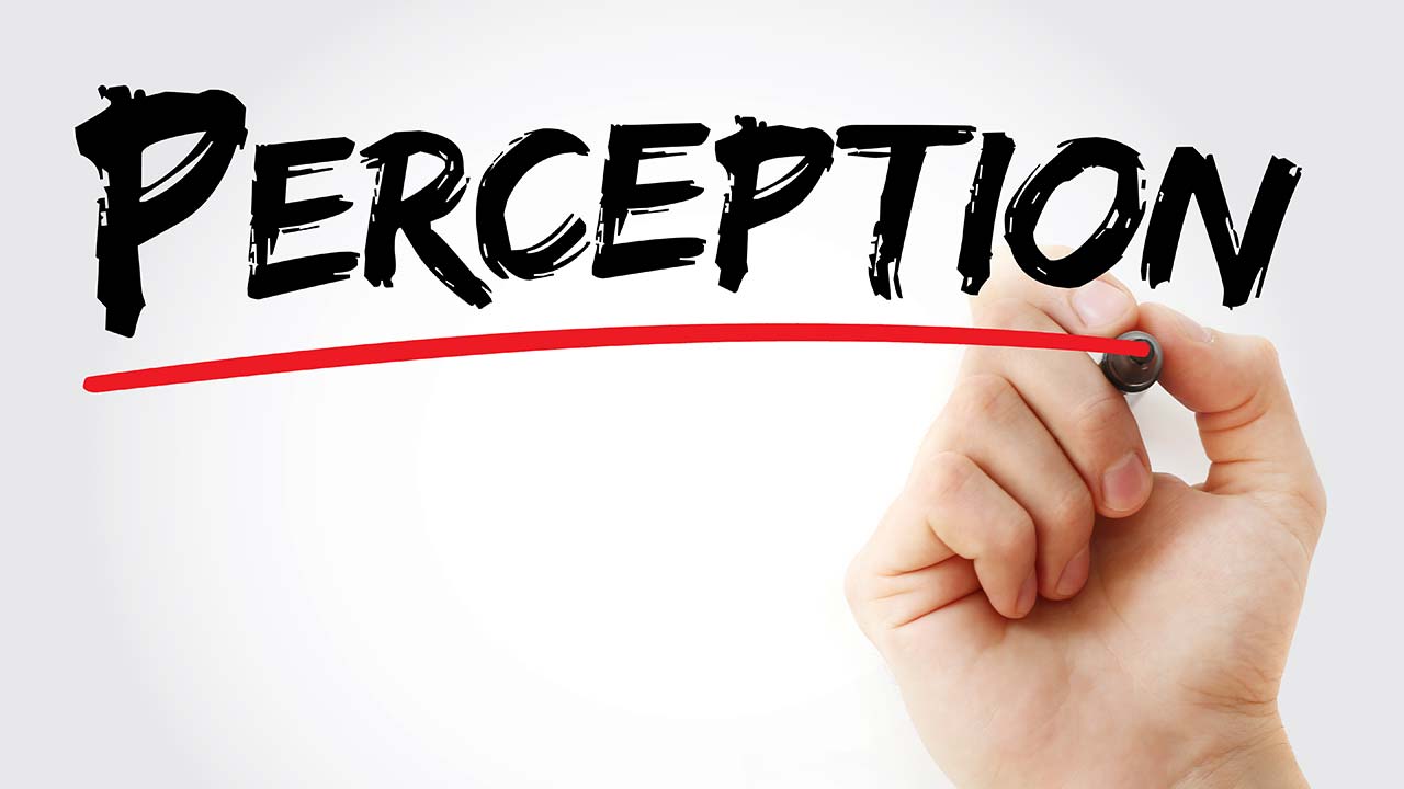 https://www.propelstrat.com/wp-content/uploads/2020/09/services-perception.jpg